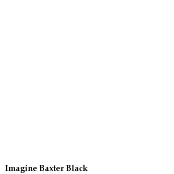 Imagine Baxter Black